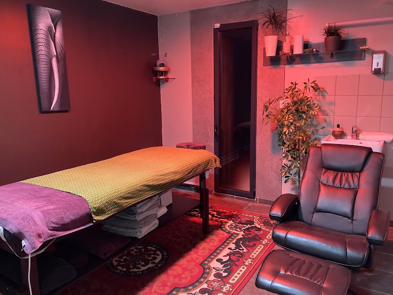 Massages L'Elephant Volant Loudervielle - Day Spa in Loudervielle