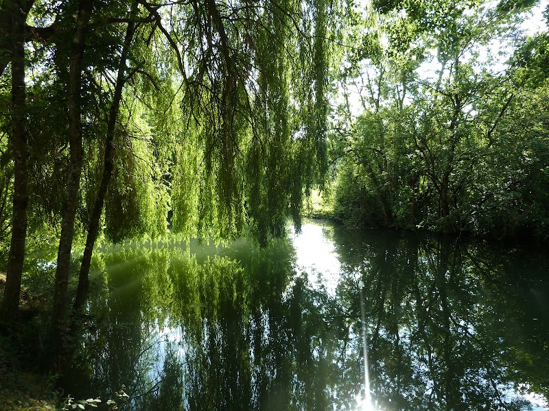 Massages les Jardins de Lilly Montignac-Charente - Day Spa in Montignac-Charente