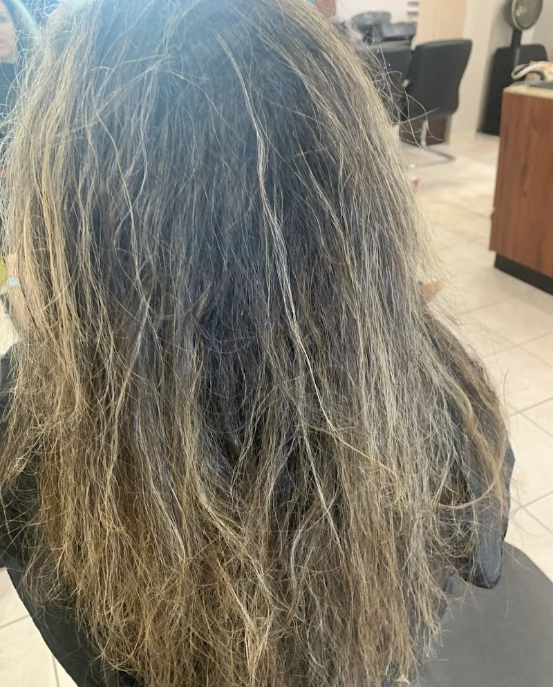 Maximus Spa & Salon Carle Place - Day Spa in Carle Place