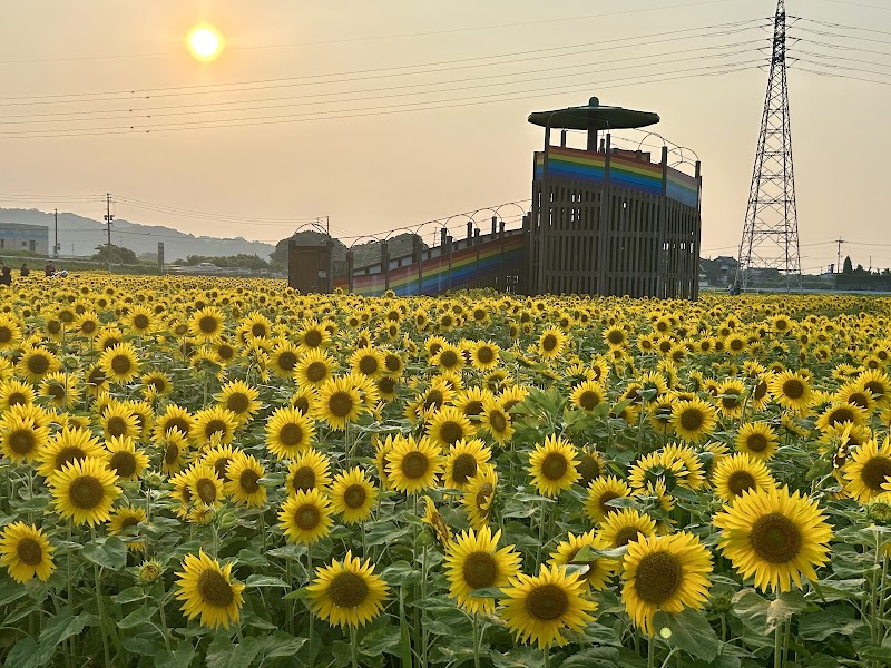 Michi no Eki Ootou Sakura Kaido Natural Onsen Sakura-kan Oto Town, Tagawa District - Thermal Spa in Oto Town, Tagawa District
