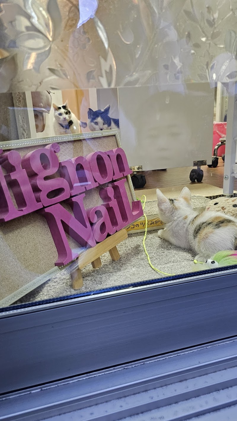 Mignon Nail Itabashi City - Day Spa in Itabashi City