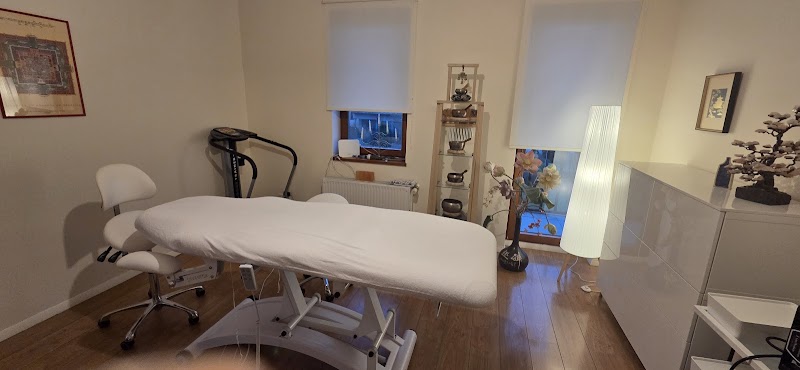 Mihaila Mošenkova masāžas studija Mārupe - Day Spa in Mārupe