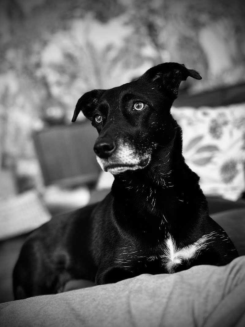 Mill'eau Balnéo Millau photo