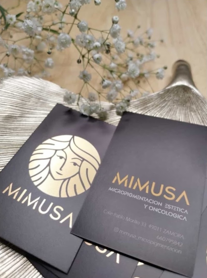 Mimusa Zamora photo