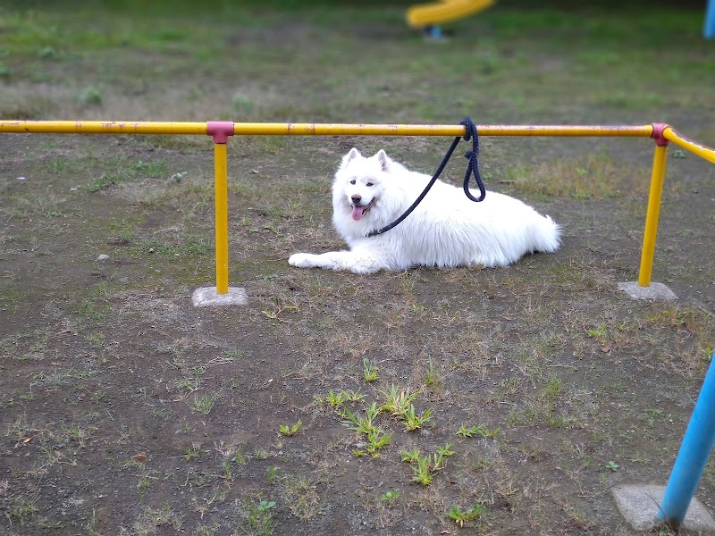 Minami Kayabe Recreation Center Hakodate City - Day Spa in Hakodate City