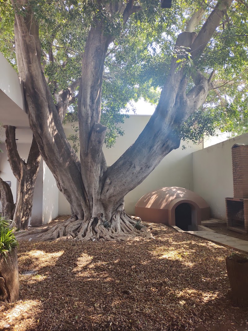 Misaya Spa San Juan del Río - Day Spa in San Juan del Río