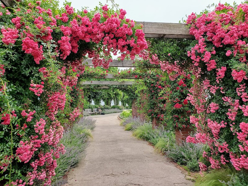 Mitsuke Kenkou no Yu Hottopia - Day Spa in Mitsuke