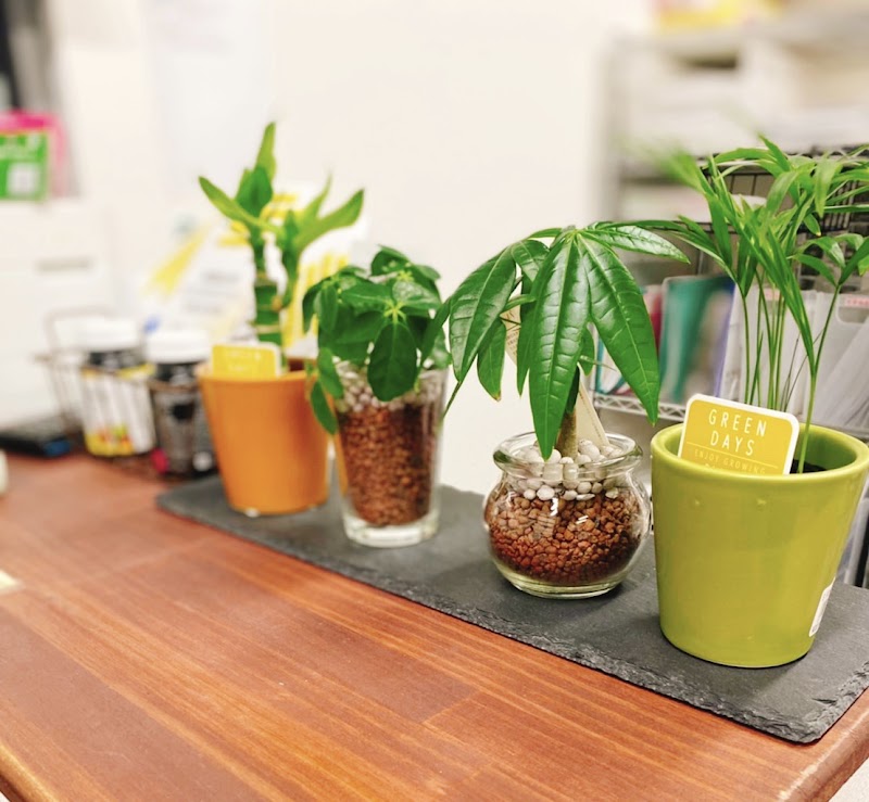 Miyabi Osteopathic Clinic Settsu Branch Settsu City - Day Spa in Settsu City