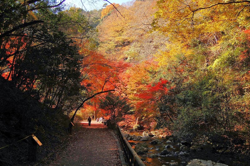 Momoji no Yakusou Kouso On'yoku Minoh City - Day Spa in Minoh City