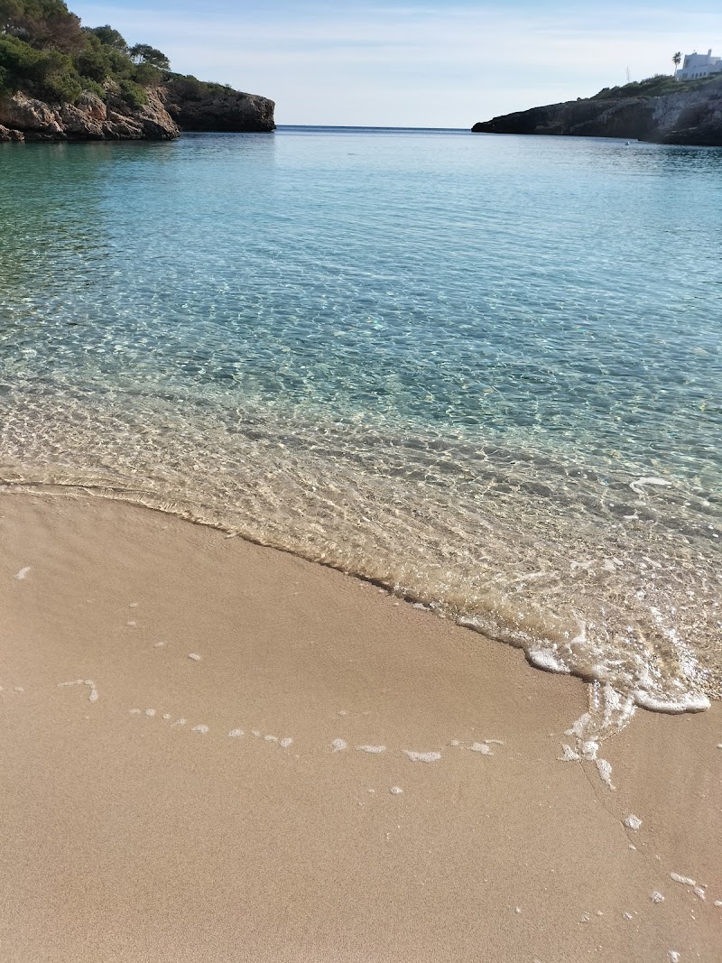 Felanitx monis.dogmassage.mallorca - Day Spa in Felanitx