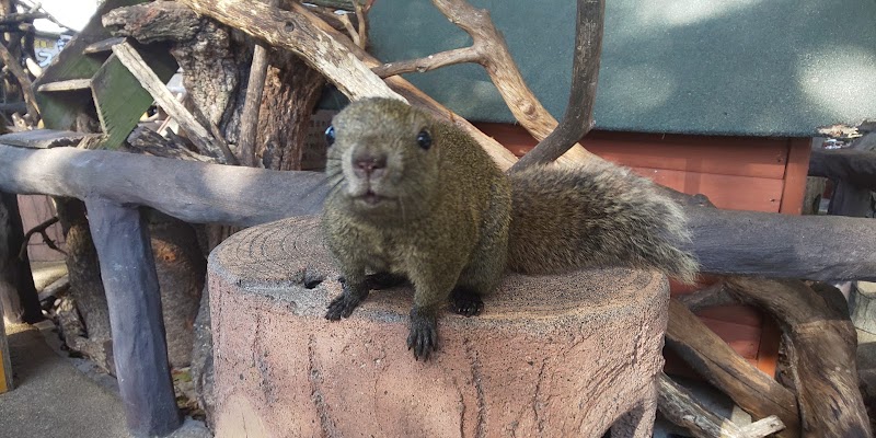 Moreys Motosu City - Day Spa in Motosu City