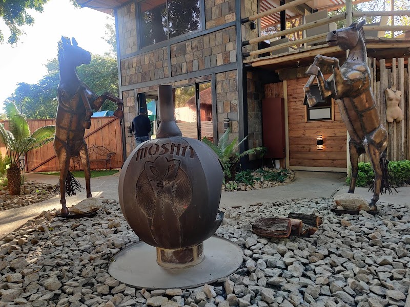 Mosha Wellness Spa Gaborone