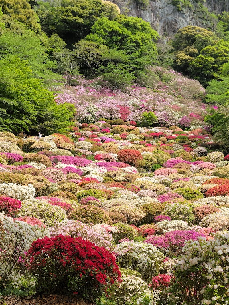 Motoyu Kumonokawa Bathhouse Saga City - Thermal Spa in Saga City