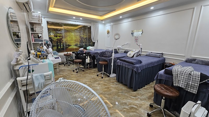 My Lơ Spa Quận Lê Chân - Day Spa in Quận Lê Chân