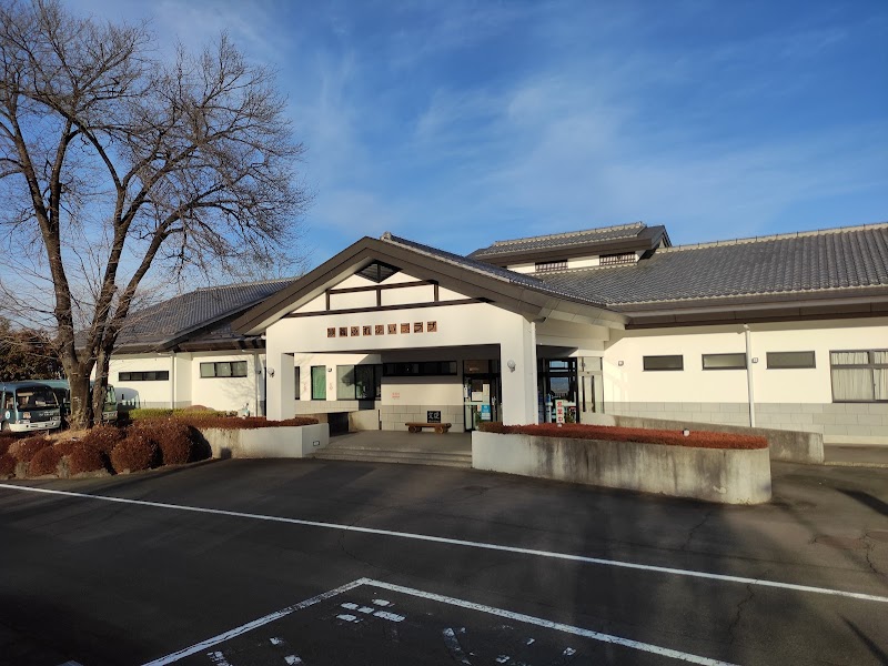 Myogi Fureai Plaza Momiji no Yu Tomioka City - Day Spa in Tomioka City