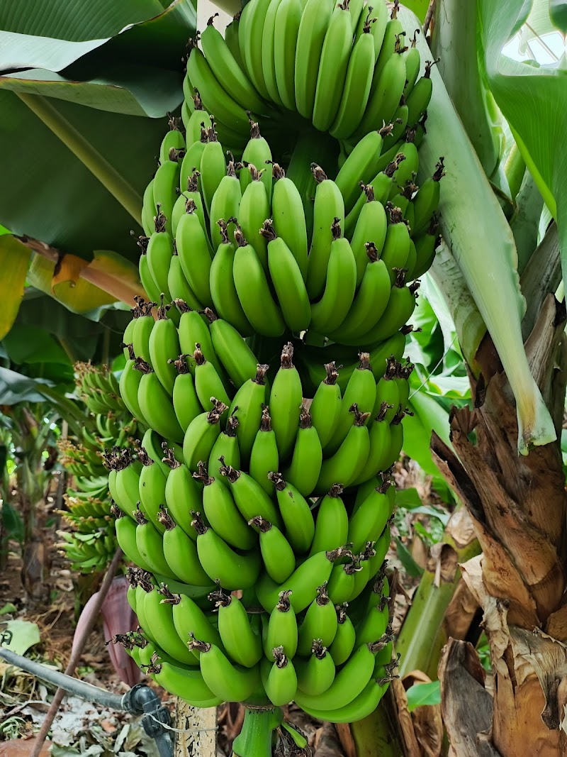 Myra Spa Pimpri-Chinchwad - Wellness Retreat in Pimpri-Chinchwad