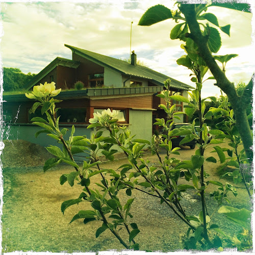 NADUIR Centre For Holistic Health H91 WTD3 Furbogh - Day Spa in Furbogh