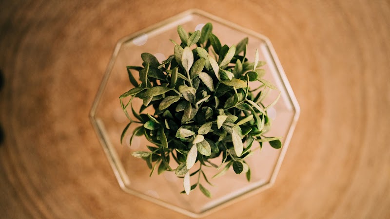 Naïa Spa Verdurier - Spa & Massage - Limoges - Day Spa in Limoges