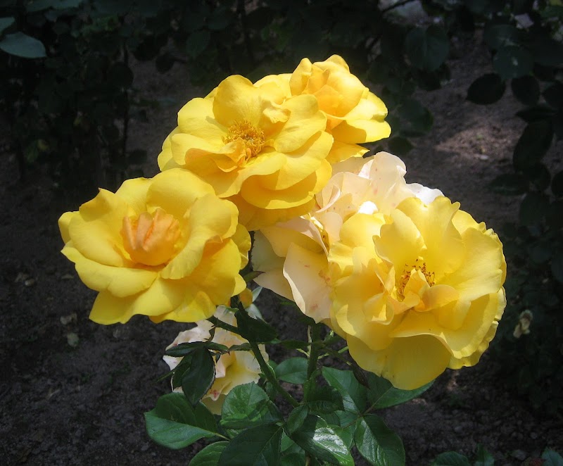 Nakagawa Seiryu Nakagawa City - Day Spa in Nakagawa City