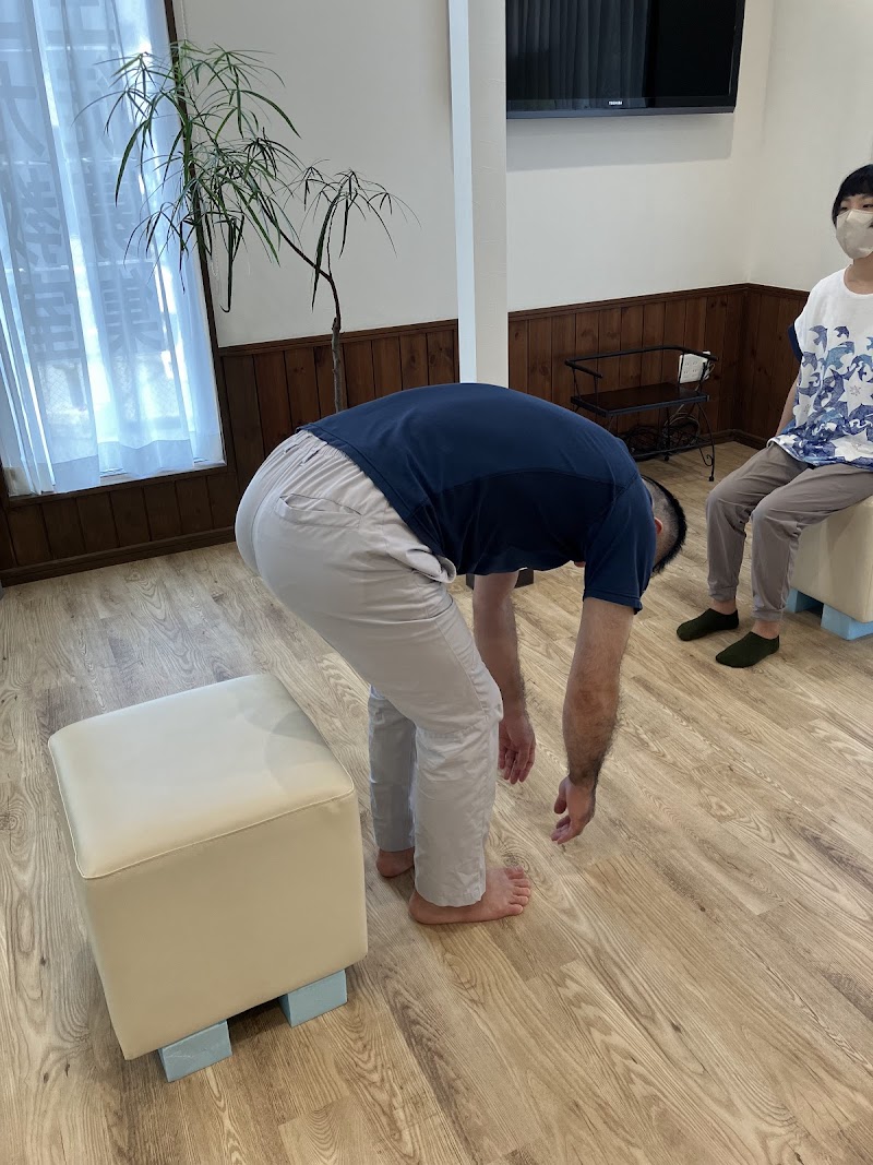 Nakamura Seitai Qigong Therapy Clinic Naka Ward, Yokohama City - Day Spa in Naka Ward, Yokohama City