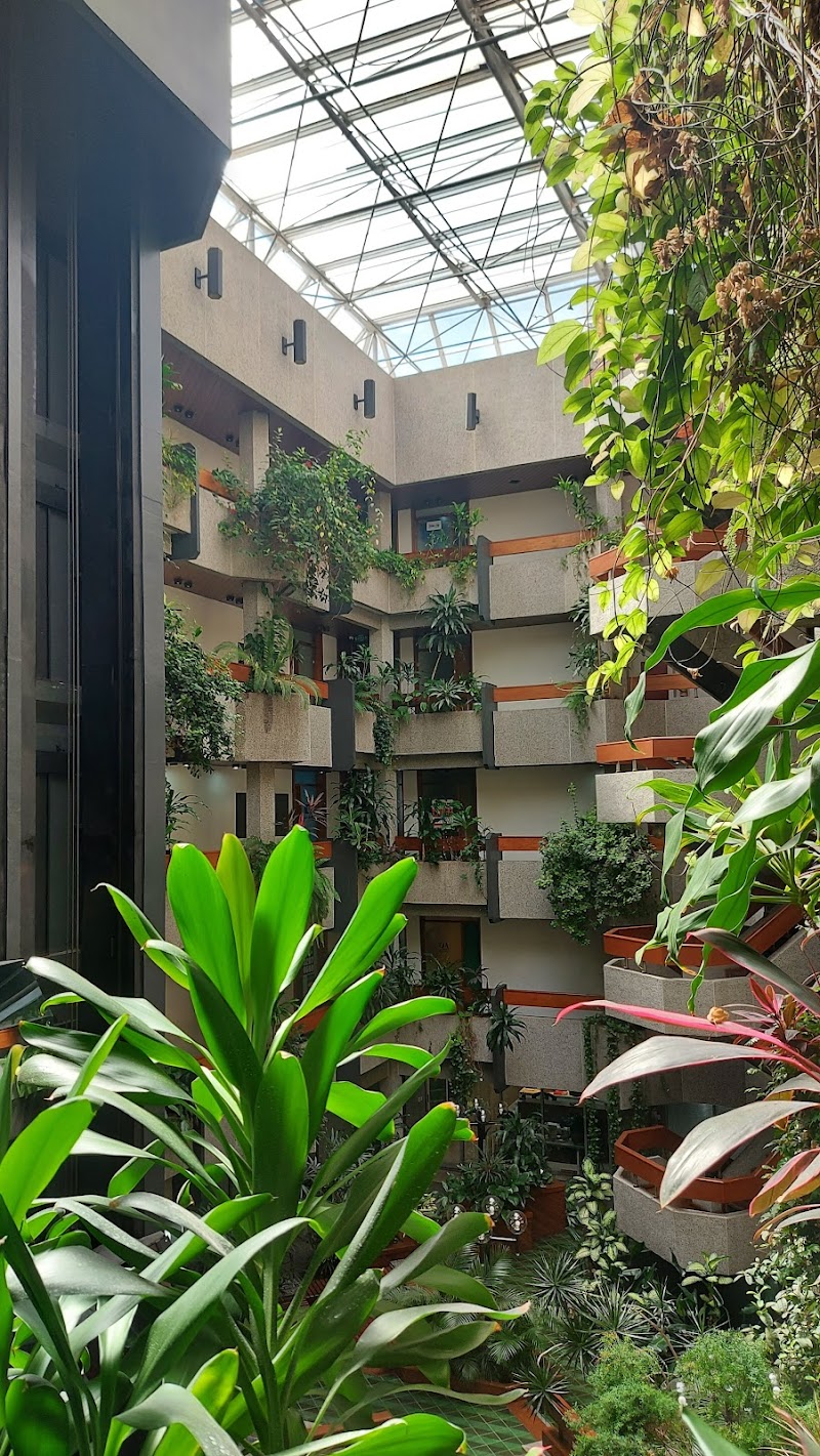 Nara Kamauka Massoterapeuta Porto Alegre - Day Spa in Porto Alegre