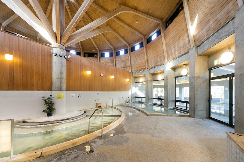 Natural Hot Spring Aratama no Yu Chuo Ward, Hamamatsu - Day Spa in Chuo Ward, Hamamatsu