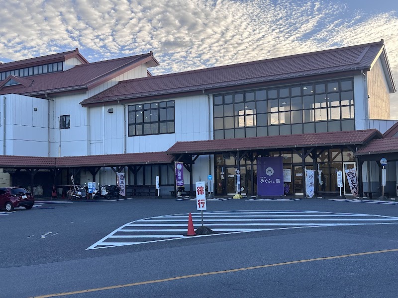Natural Hot Spring Megumi no Yu Obu-shi - Day Spa in Obu-shi