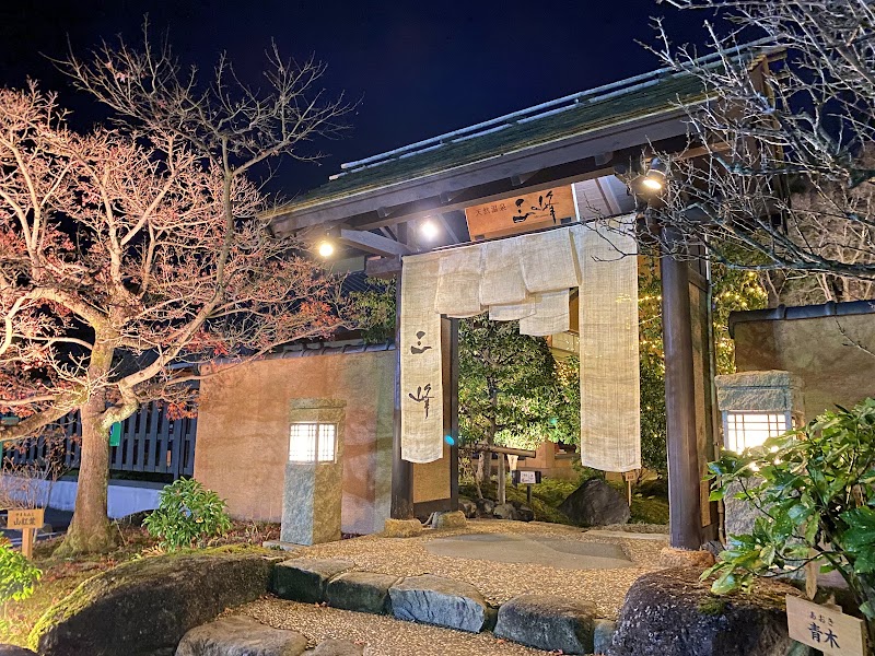 Natural Hot Spring Mitsumine Kani City - Day Spa in Kani City