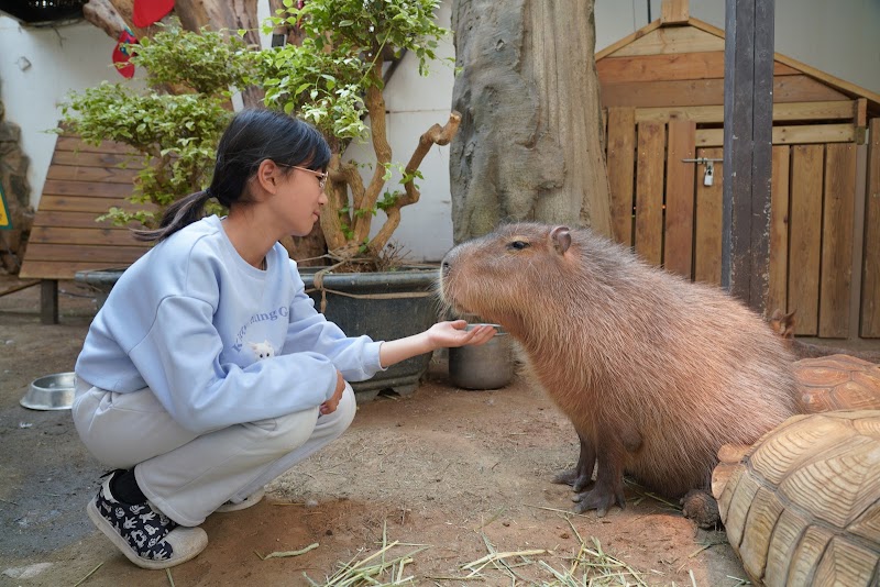 Nature Park Daegu photo