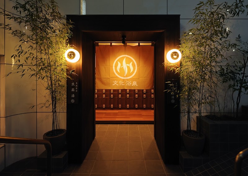 Negishi Yokusen Kawaguchi City - Day Spa in Kawaguchi City