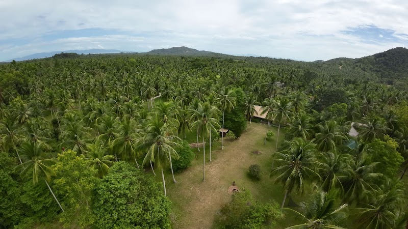 New Earth Phangan Koh Phangan - Medical Spa in Koh Phangan