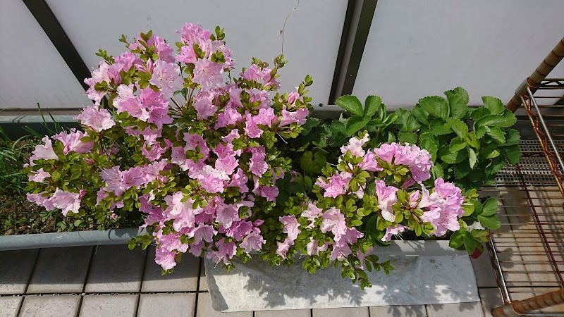 Nianuovo Sakai City Kita Ward - Day Spa in Sakai City Kita Ward