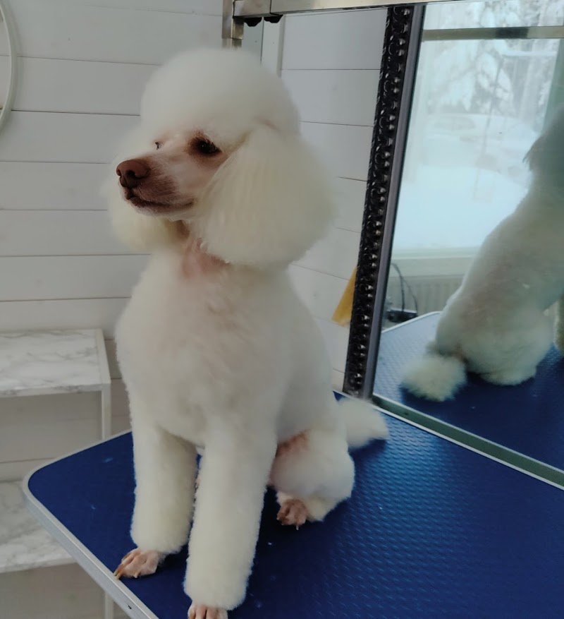 Niina Susanna Vaasa - Day Spa in Vaasa