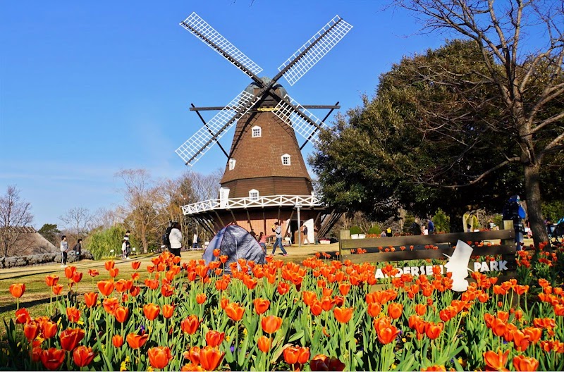 Niji no Ike (Rainbow Pond) Funabashi City - Thermal Spa in Funabashi City