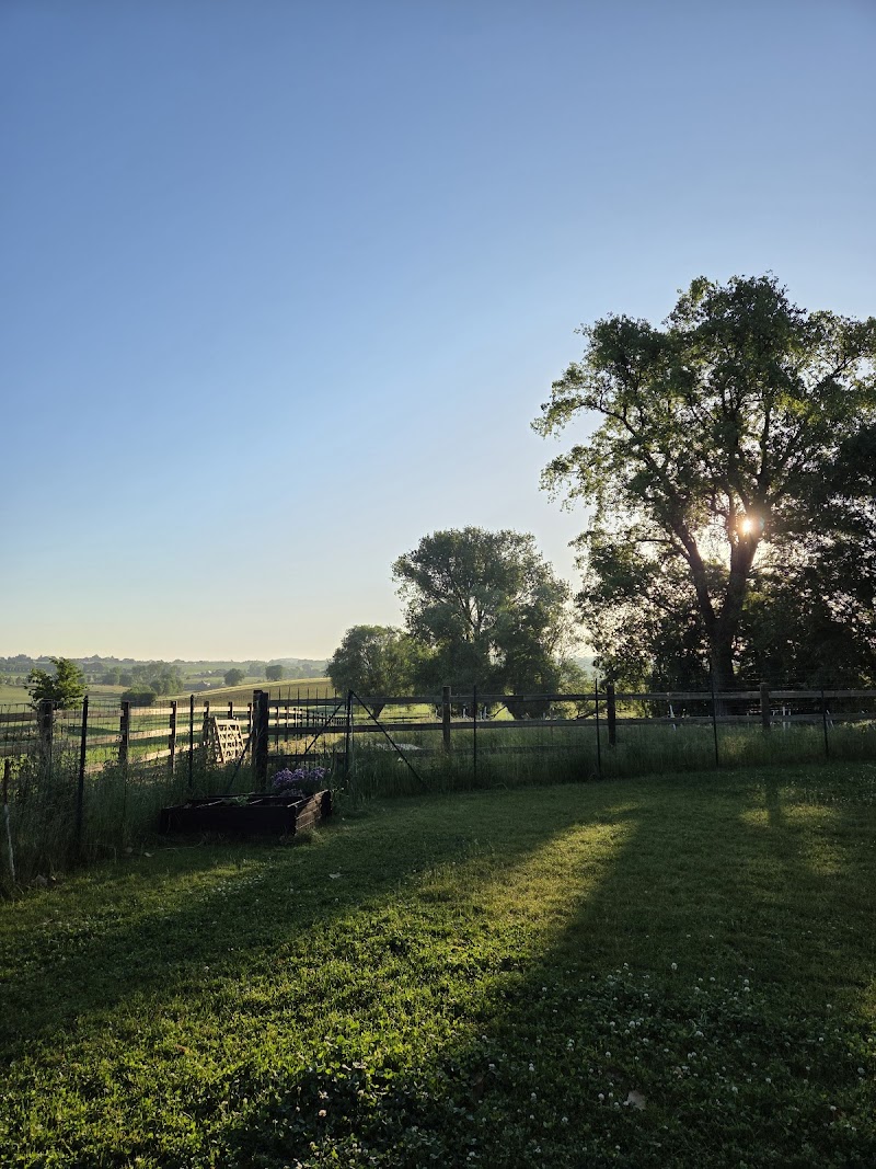 Nolwenn Taminiau - Massothérapeute Braine-le-Comte - Day Spa in Braine-le-Comte