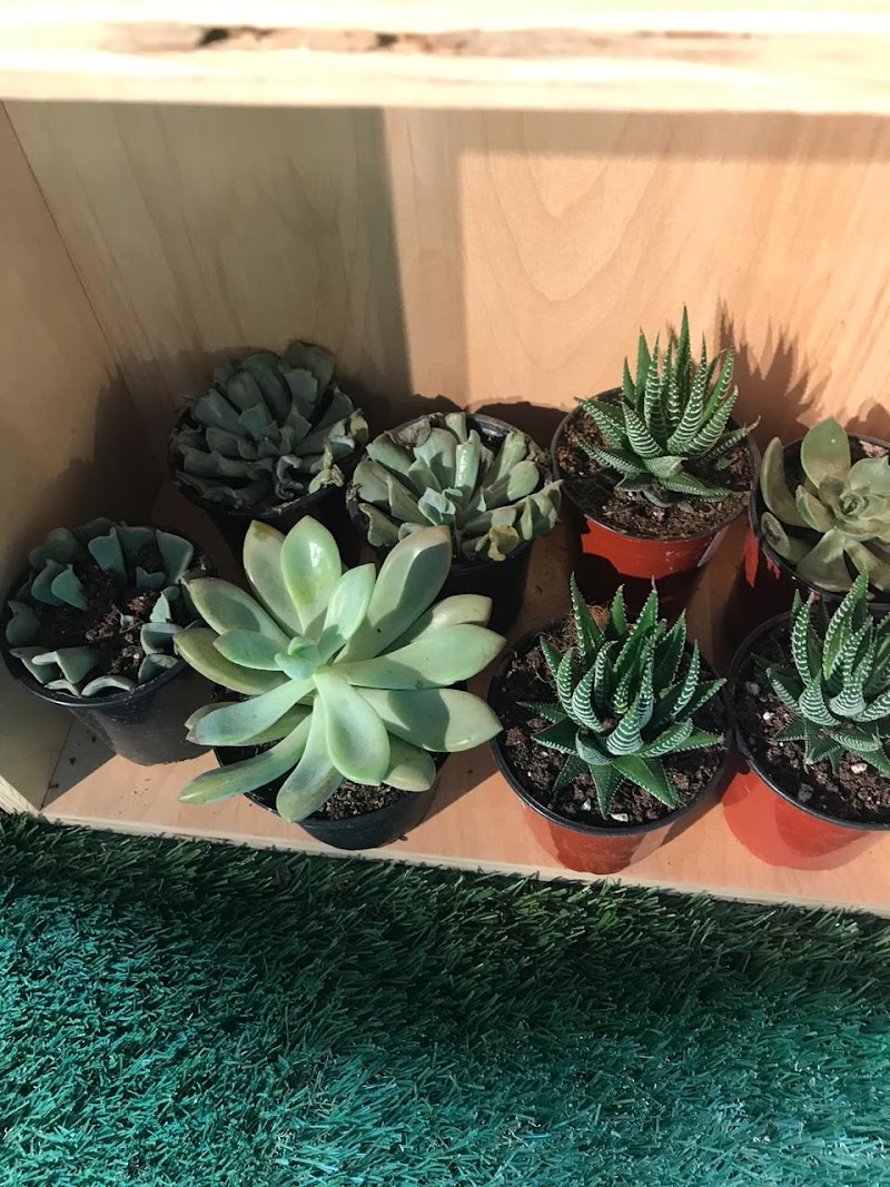 Oasis of Serenity Day Spa Sangre Grande - Day Spa in Sangre Grande