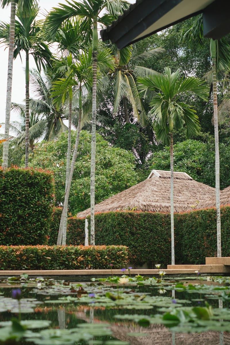 Oasis Spa (Tropical Retreat Spa, Laguna) Phuket - Resort Spa in Phuket