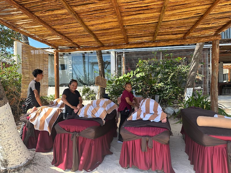 Ocean Wellness Center by Amaité Playa del Carmen - Wellness Retreat in Playa del Carmen