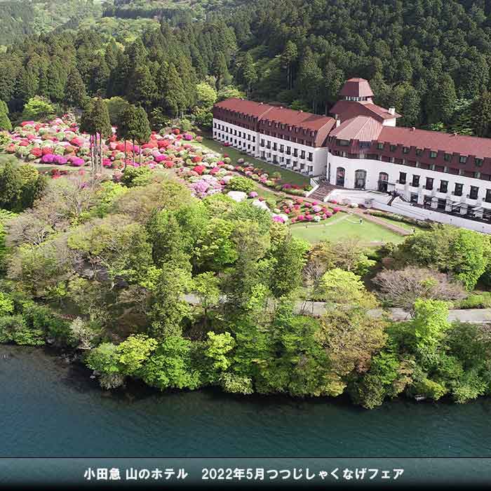 Odakyu Hotel de Yama Hakone - Resort Spa in Hakone