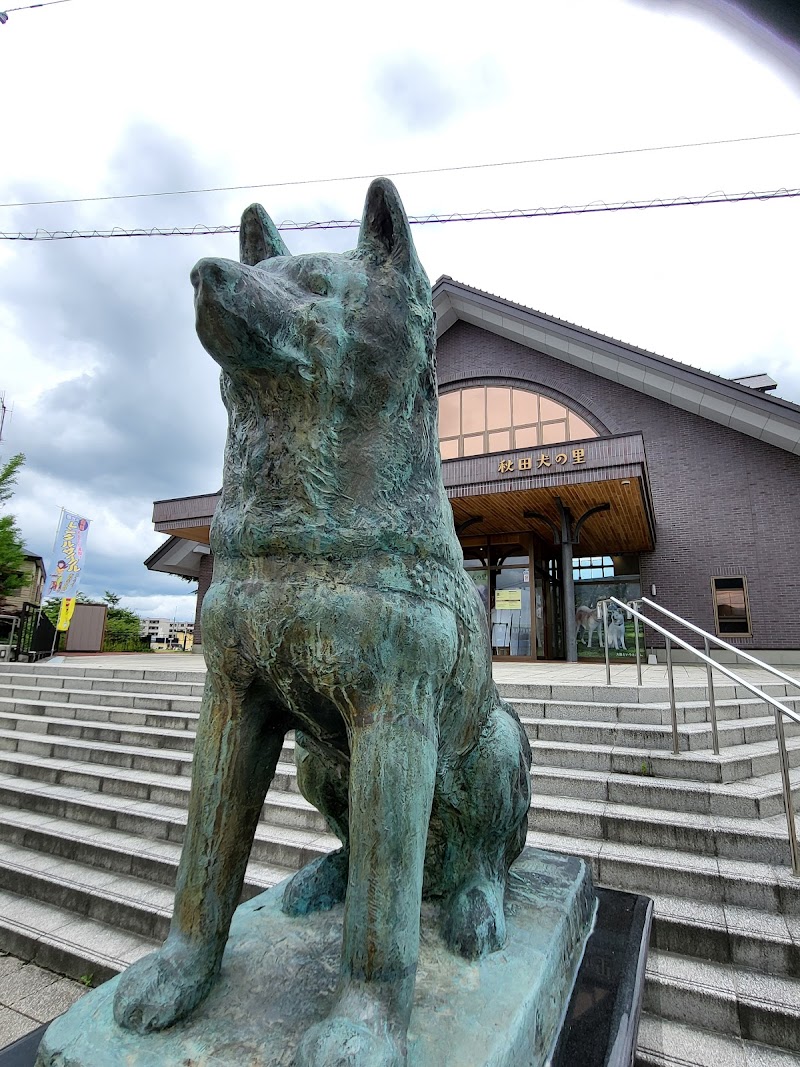 Odate City Hachiko-so - Day Spa in Odate City