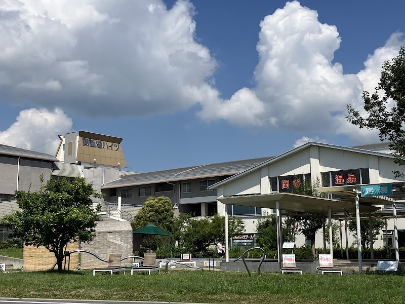 Okaya Onsen Footbath Okaya City - Thermal Spa in Okaya City