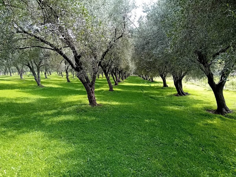 Oliu di Caldanelle - les bains de Caldanelle Corsica - Thermal Spa in Corsica