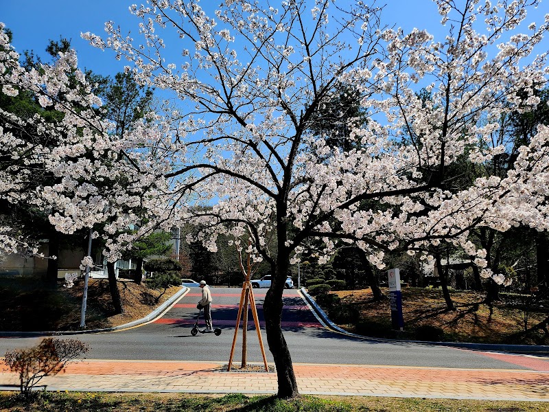 Olive Young Chungnam National University Main Gate Branch Daejeon - Day Spa in Daejeon