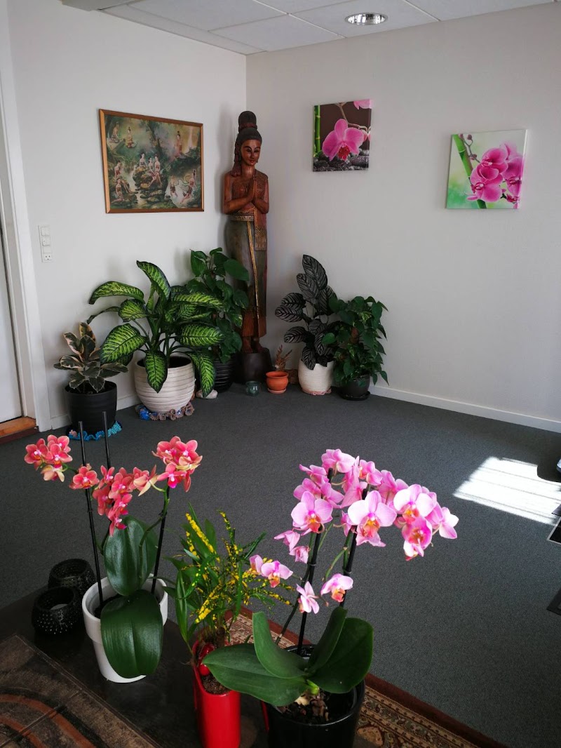 Opal Wellnes og Thai Massage Hedensted - Day Spa in Hedensted
