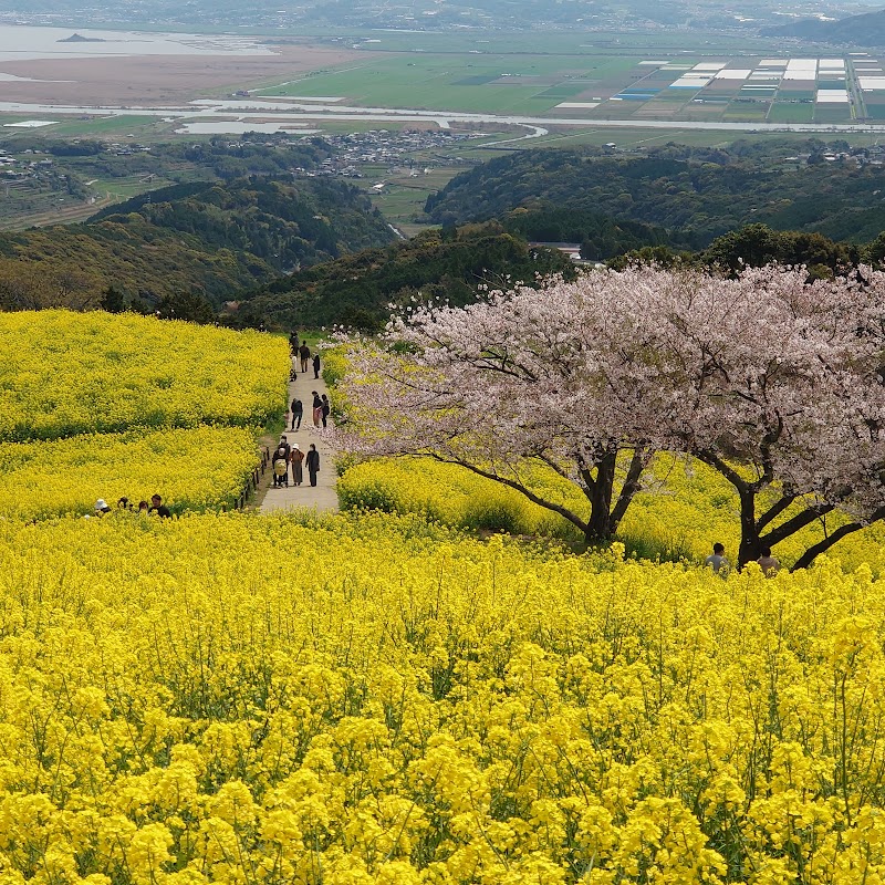 Oyu Kamisashi Best Power Land Isahaya - Day Spa in Isahaya