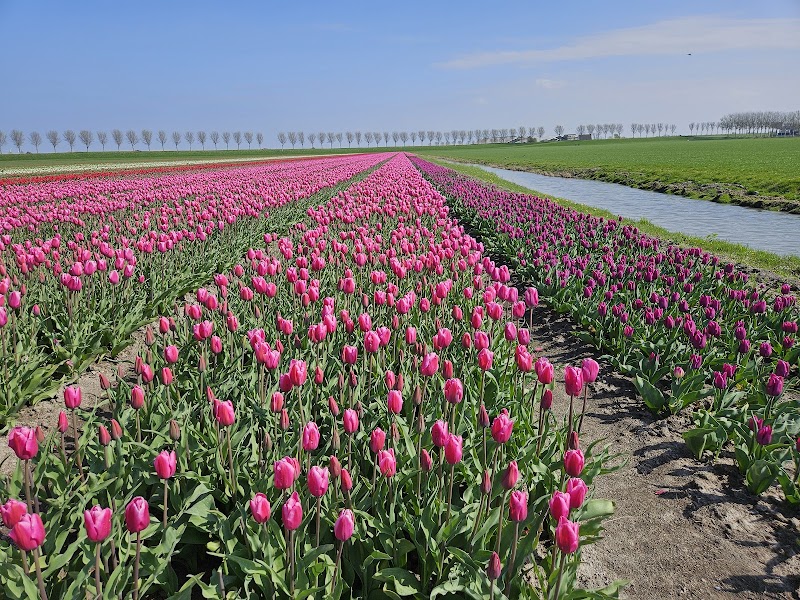 Paardenmassage-noordholland Noordbeemster - Day Spa in Noordbeemster