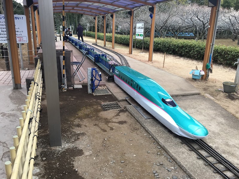 Padmini Ichikawa City - Day Spa in Ichikawa City