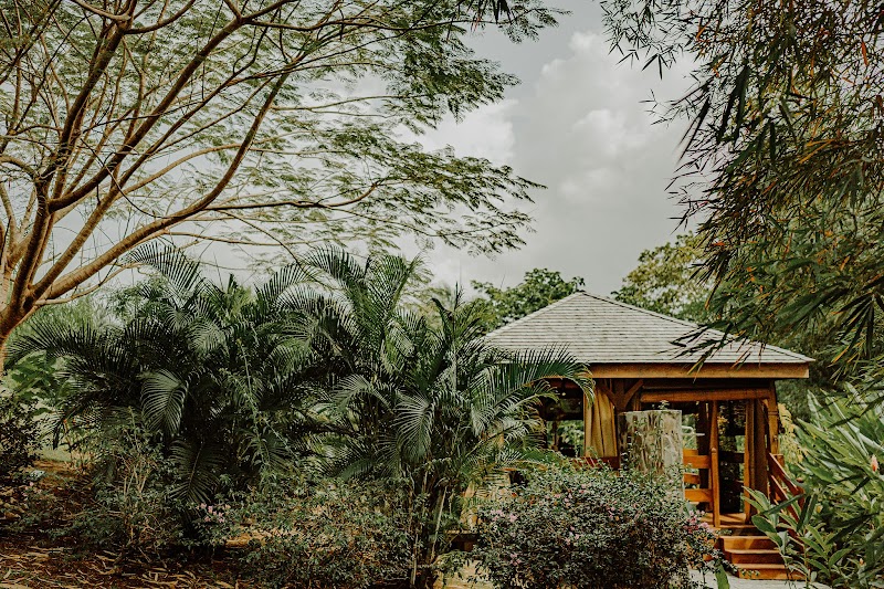 Palais des Massages Petit-Bourg