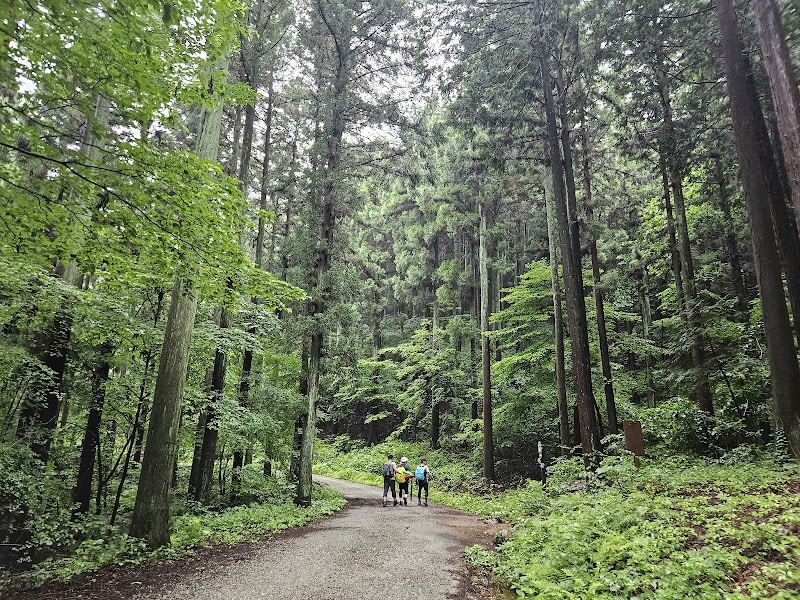 Palyongsan Hinoki Healing Forest Goheung - Day Spa in Goheung