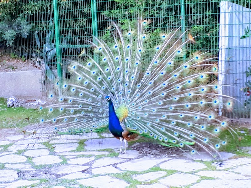 Pamukova Sosyal Dinlenme Tesisi - Day Spa in Pamukova